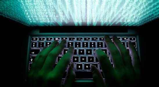 Two local governments face cyber security woes Are citizens at