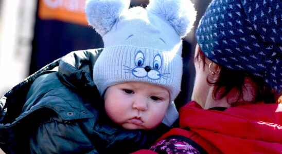 Ukrainian babies welcomed free of charge in creches