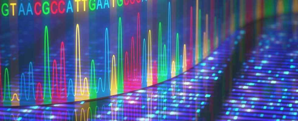 Unexplored regions of the human genome finally unveiled