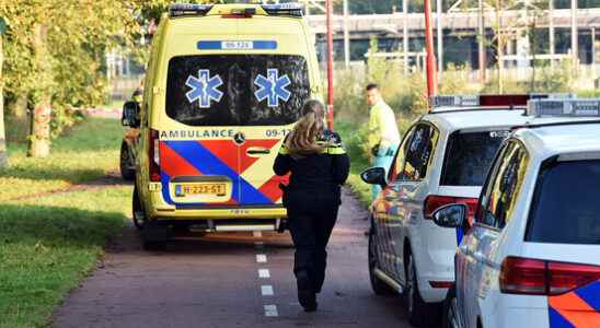 Utrecht suspect of six assaults Lunettes in court