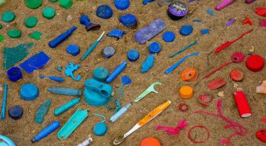 WeDo Announces Participation in Worlds Ocean Day Beach Cleanup