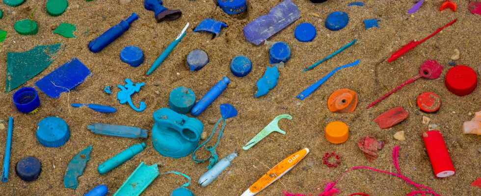 WeDo Announces Participation in Worlds Ocean Day Beach Cleanup