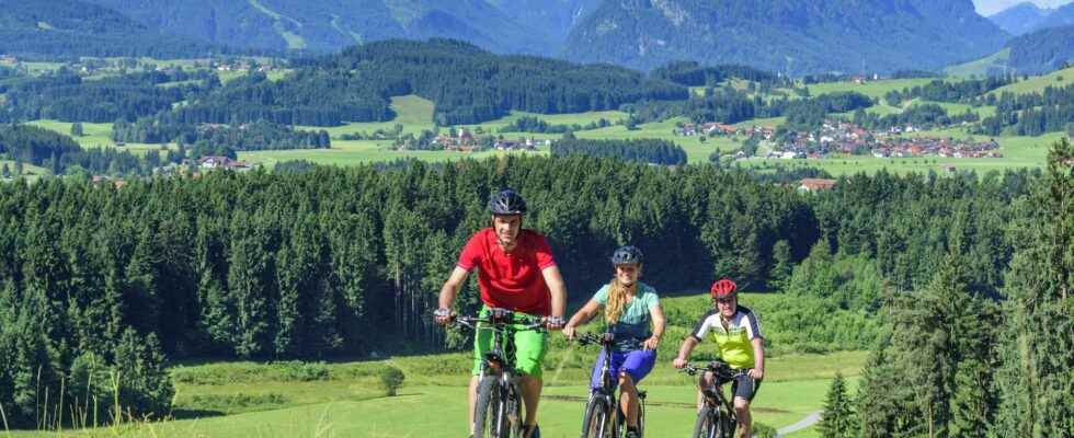 What are the advantages of electric mountain biking