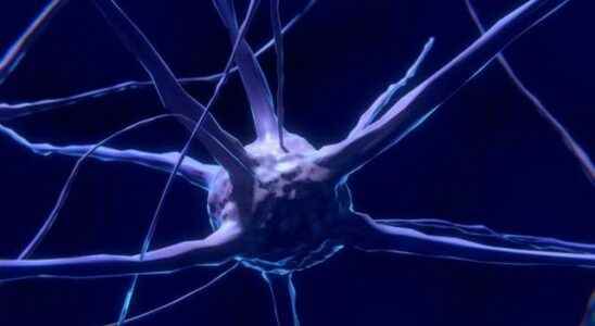 What is good for the nervous system What are the