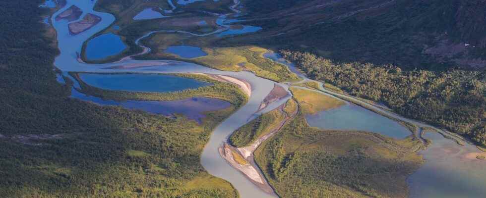 When erosion governs fault growth