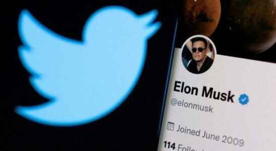 Will Twitter be able to survive under Elon Musk