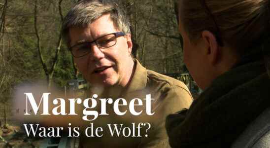 Wolf filmer Cees van Kempen the wolf is not a
