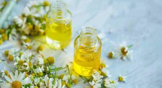 Ysop the digital aromatherapist to choose the right essential oils