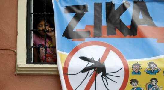 Zika virus warning again after years There is no definitive