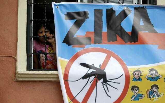 Zika virus warning again after years There is no definitive