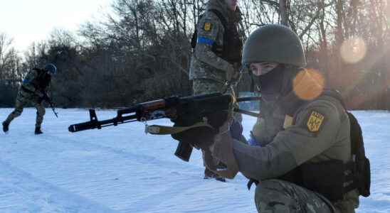 in Pokrovske members of the Azov battalion look towards Mariupol