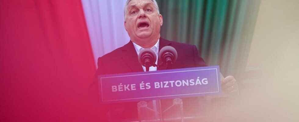 legislative elections that look like a referendum on the Orban