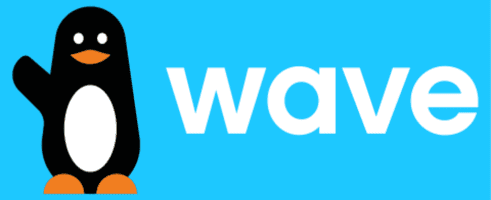 the start up Wave obtains its electronic money establishment license