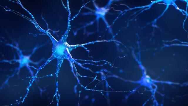 Neurons working in the brain