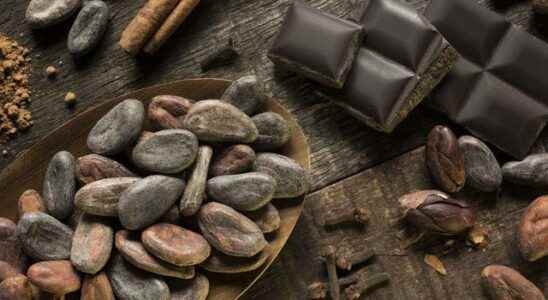 1652785954 It reduces the risk of cancer You will love chocolate