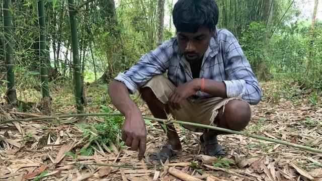 A soil worker working in Assam