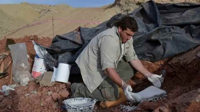 A team of paleontologists discovered the remains in the Andes Mountains in Argentina in 2012.