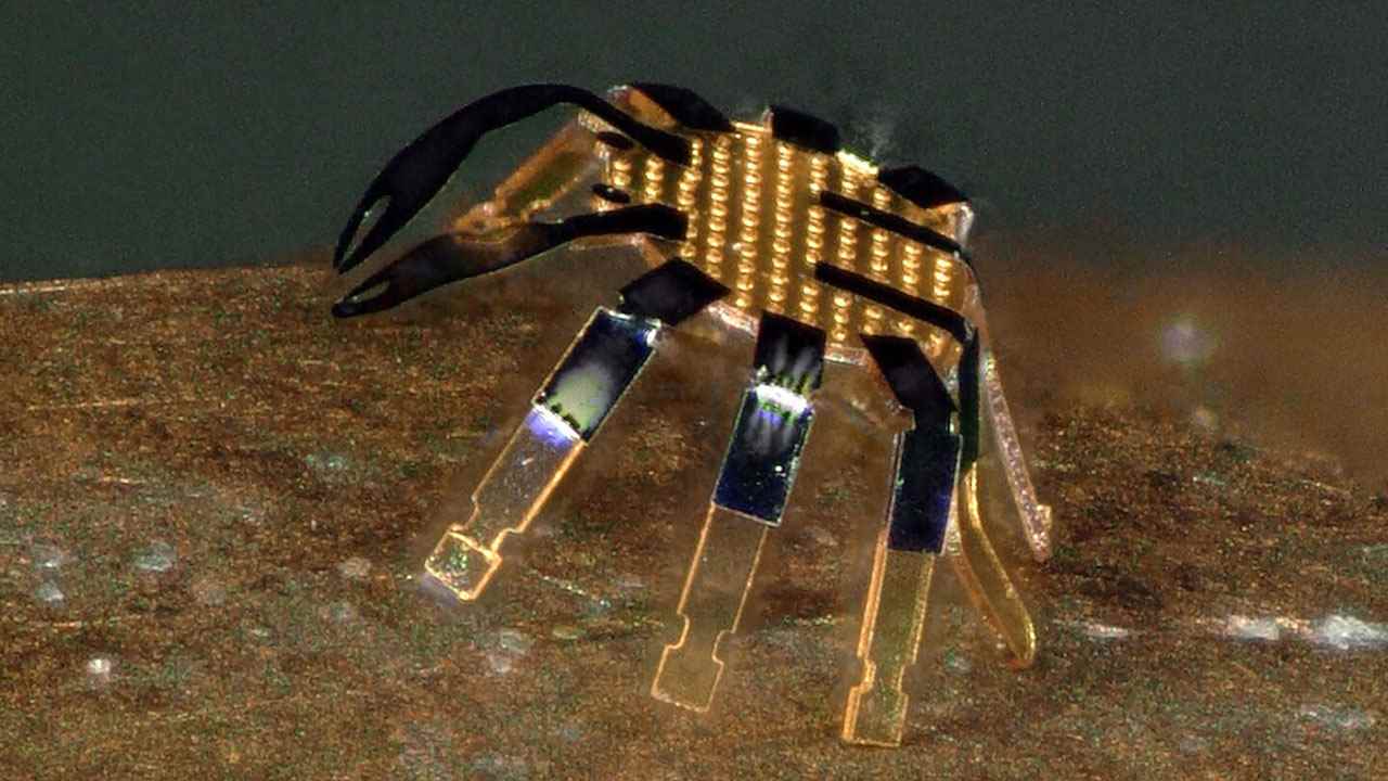 1653892680 442 The smallest remotely controlled robot with mobility has been produced