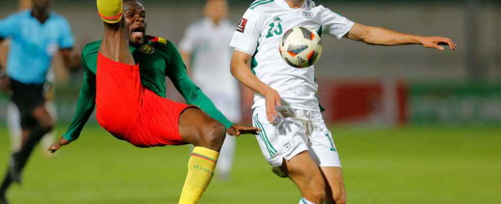 Algeria Cameroon Algeria sanctioned by Fifa