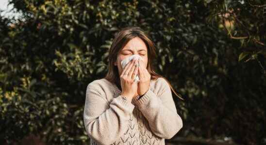 Allergy to pollens France on red alert against grasses