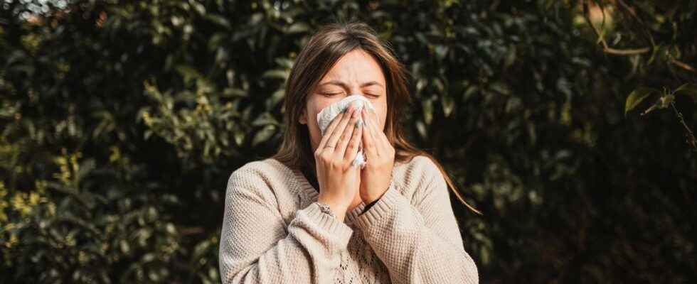 Allergy to pollens France on red alert against grasses