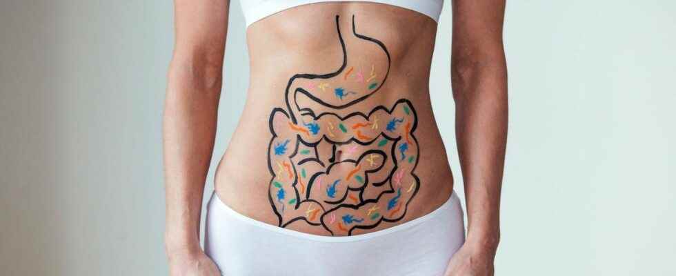 Are diabetes and obesity linked to poor communication between microbiota