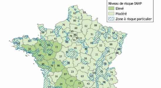 Avian flu improvement in France what risks for humans
