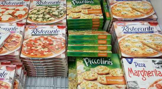 Buitoni Bella Napoli pizzas contaminated with Ecoli bacteria A complaint