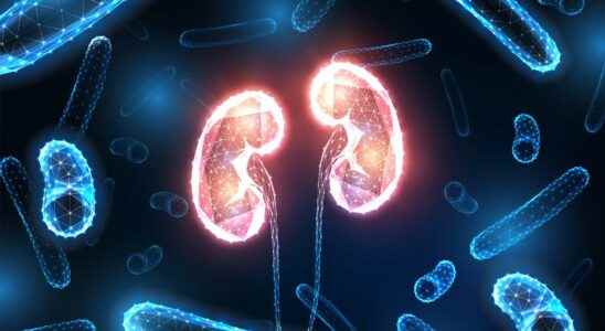 Chronic kidney failure causes symptoms and treatments