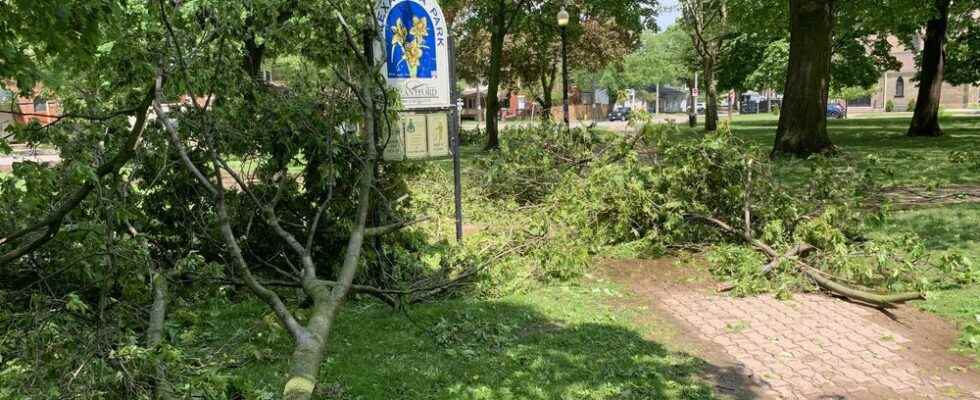 City waives landfill fees for storm debris
