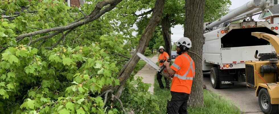 Clean up operations underway following severe storm