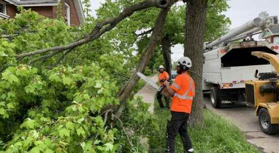 Clean up underway following deadly storm