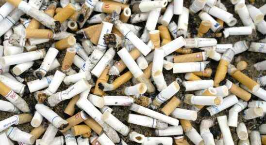Councilor wants to change attitudes about smokers tossing cigarette butts