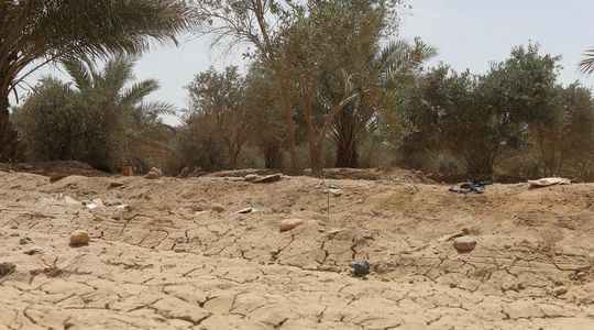 Declarations but no major progress the COP15 against desertification is