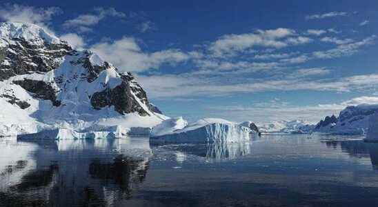 Discovered in Antarctica For the first time a large amount