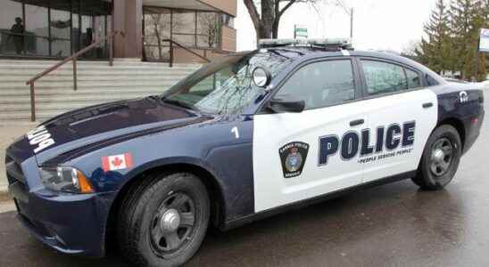 Driver three times the limit nearly backs into Sarnia cops