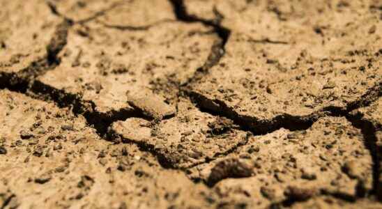 Drought aridity what differences
