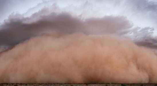 Extraordinary weather phenomenon the haboob