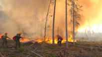 Fires are raging in southern Siberia authorities say at
