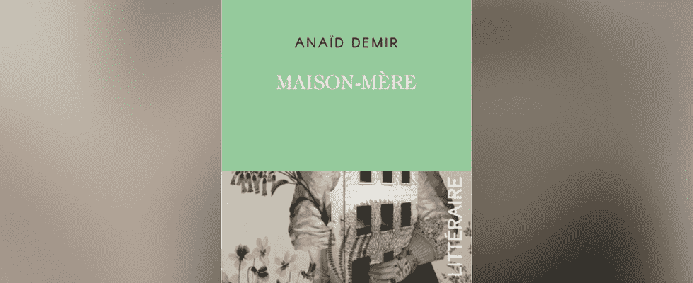 For the novelist Anaid Demir to project yourself you need