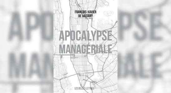 Francois Xavier de Vaujany author of Managerial Apocalypse