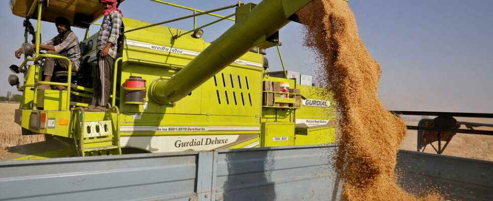 G7 criticizes Indias decision to suspend wheat exports
