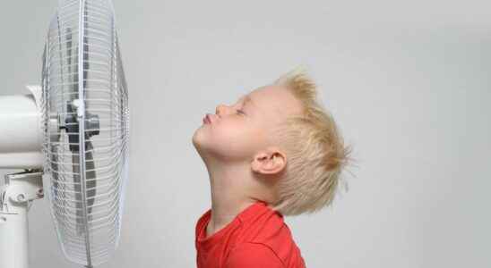 Heat wave how to optimize the effect of your fan