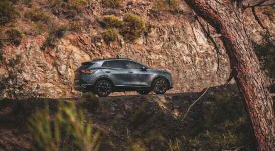 His eyes are high 2022 Kia Sportage preview