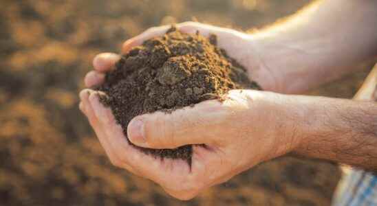How are soils formed