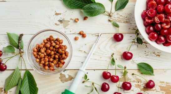 How to recycle cherry pits and stems