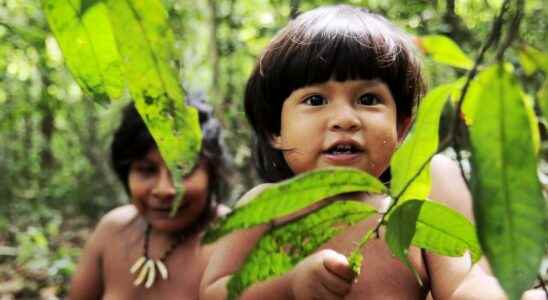 Indigenous peoples under threat Case