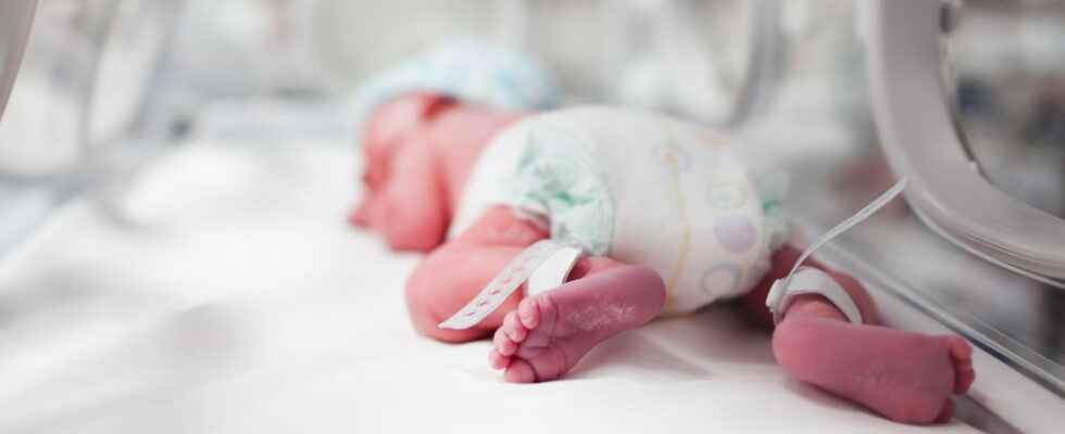 Infant mortality a rising rate since 2012