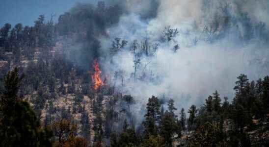 Investigators Foresters fires caused a record fire in New Mexico
