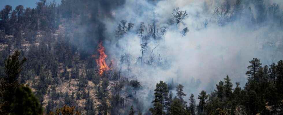 Investigators Foresters fires caused a record fire in New Mexico